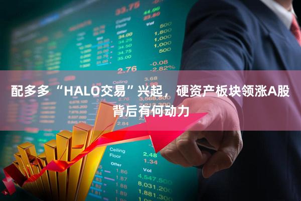 配多多 “HALO交易”兴起，硬资产板块领涨A股背后有何动力