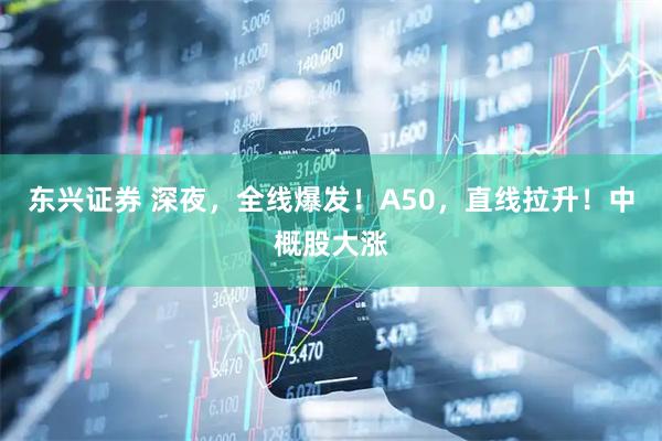 东兴证券 深夜，全线爆发！A50，直线拉升！中概股大涨