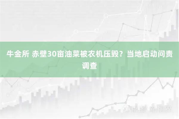 牛金所 赤壁30亩油菜被农机压毁？当地启动问责调查