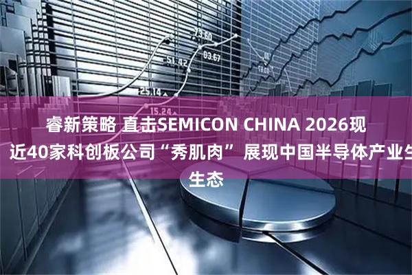 睿新策略 直击SEMICON CHINA 2026现场：近40家科创板公司“秀肌肉” 展现中国半导体产业生态