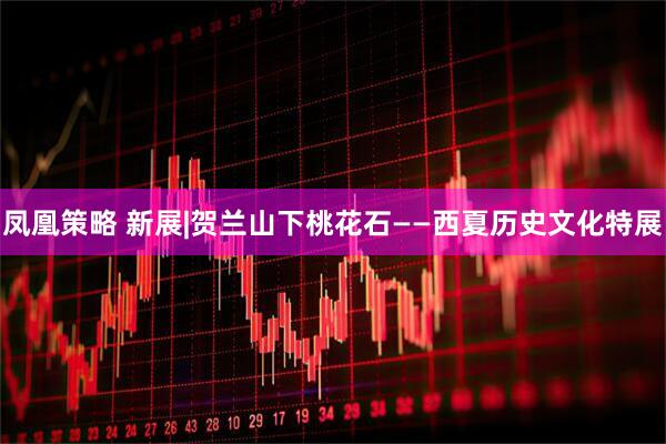 凤凰策略 新展|贺兰山下桃花石——西夏历史文化特展