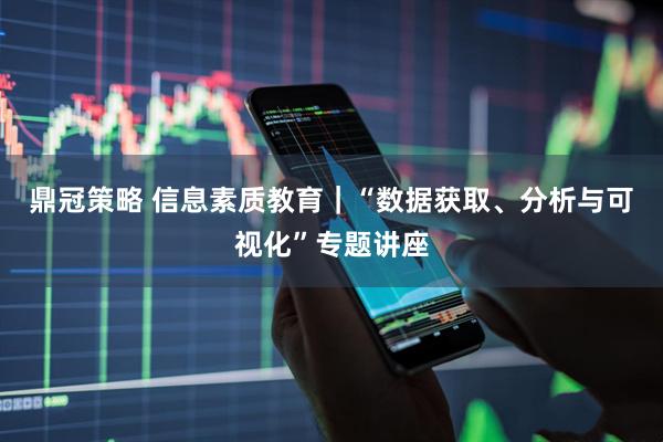 鼎冠策略 信息素质教育｜“数据获取、分析与可视化”专题讲座