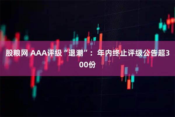 股粮网 AAA评级“退潮”：年内终止评级公告超300份