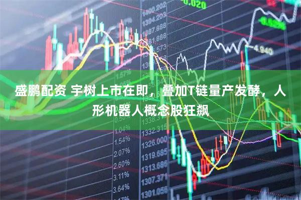 盛鹏配资 宇树上市在即，叠加T链量产发酵，人形机器人概念股狂飙