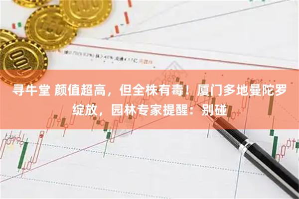 寻牛堂 颜值超高，但全株有毒！厦门多地曼陀罗绽放，园林专家提醒：别碰