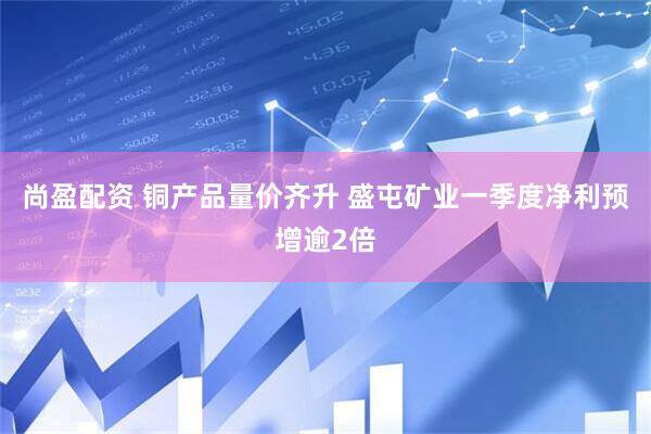 尚盈配资 铜产品量价齐升 盛屯矿业一季度净利预增逾2倍
