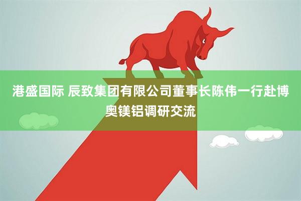 港盛国际 辰致集团有限公司董事长陈伟一行赴博奥镁铝调研交流
